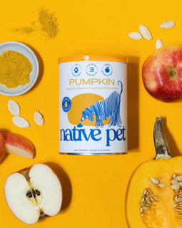 NATIVE PET Pumpkin Powder