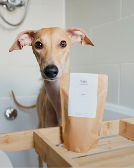 Soak: Dead Sea & Himalayan Bath Salts For Dogs